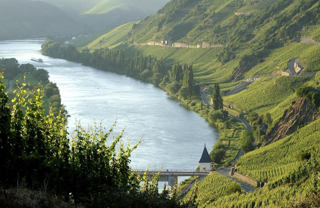 Ernst Clüsserath Weingut&Weinhotelchen Trittenheim Exterior foto